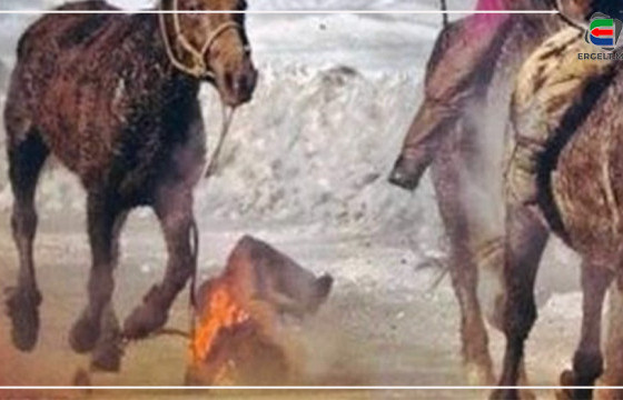 БАЯЧУУДЫН БИШ, БОРЧУУДЫН НААДАМД ХҮҮХЭД МОРИНООСОО УНАЖ ГЭМТДЭГ ГЭВ ҮҮ