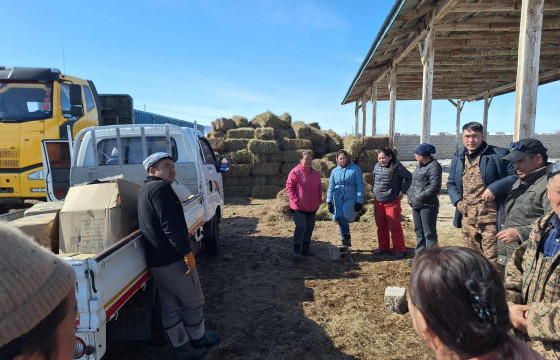 ХЭНТИЙ АЙМГИЙН ДАДАЛ СУМЫНХАН ӨВӨЛЖИЛТ ХҮНДЭРСЭН АЙЛУУДАД ӨВС, БЭЭЛИЙ, НЭМНЭЭ ӨГЧ ТУСАЛЖЭЭ