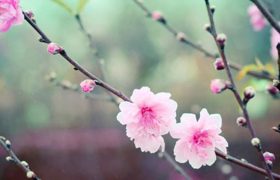 ХАВРЫГ УГТАЖ БИЧСЭН ТЭМДЭГЛЭЛ