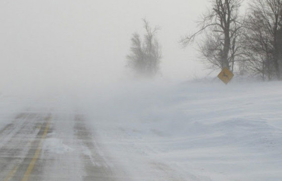 ЦУОШГ: Ирэх бямба гарагаас нийт нутгаар хүйтний эрч чангарна