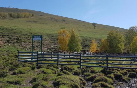 2024 онд нийслэлийн нутаг дэвсгэрт гурван булгийн эхийг хамгаалж, нэг хөв цөөрөм байгуулна