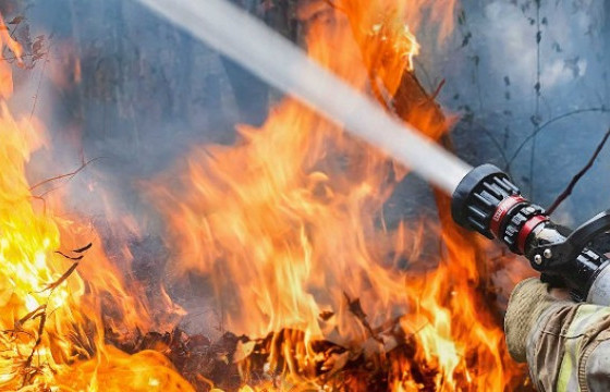 СХД-т гэр шатаж, 27 настай эмэгтэй нас баржээ