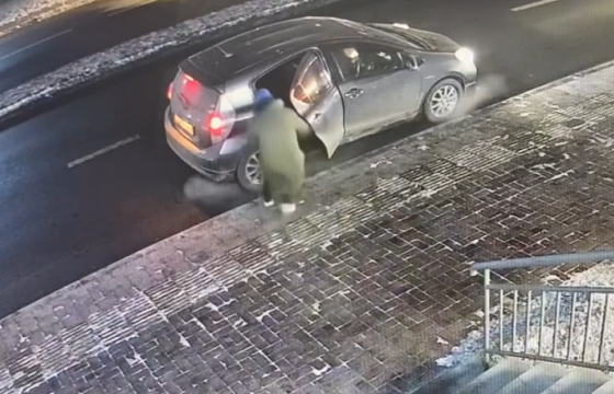 Чокопай хулгайлсан залууд арав хоног баривчлах шийтгэл ногдуулжээ