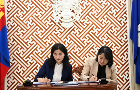 Хүүхдийн хоолны шим тэжээлийг нэмэгдүүлэх төсөл хэрэгжүүлж байна