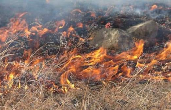 МАТАД СУМЫН ЗДТГ-ЫН ДАРГА: ОНЦГОЙ БАЙДЛЫНХАН НӨӨЦИЙН ШАТАХУУНААР ХЭЭРИЙН ТҮЙМЭР УНТРААХААР ЯВСАН