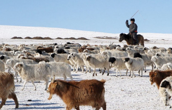 ЗГ: Байгаль, цаг уурын өөрчлөлтөөс шалтгаалсан сөрөг нөлөөллийг бууруулах тухай хуулийн төслийг хэлэлцлээ