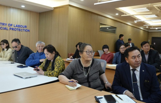 ХНХЯ-ны дэргэдэх хөгжлийн бэрхшээлтэй хүний эрхийг хангах дэд зөвлөл хуралдлаа