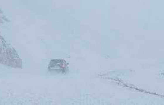 Цасан шуурганаар сураггүй болсон 82 настай хоёр хүнийг хайж байна