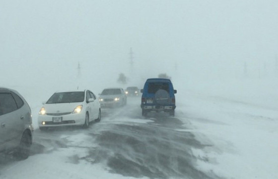 ЦАГ АГААР: Нутгийн зүүн хэсгээр нойтон цас орж, цасан шуурга шуурч, говь, тал, хээрийн нутгаар салхи, шуургатай байна