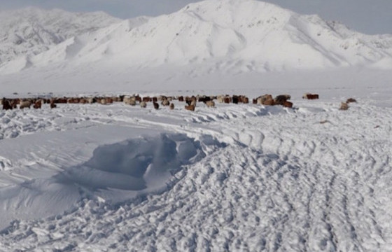 Нийт нутгийн 30 орчим хувьд цастай байна