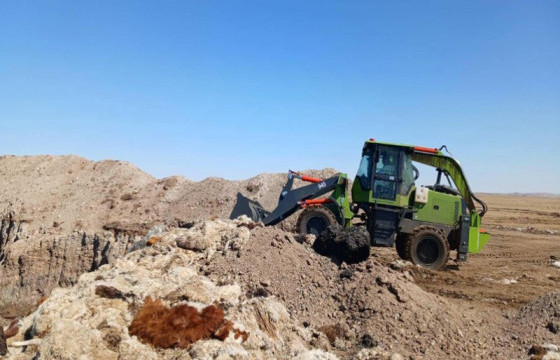 Сүхбаатар аймагт сэг зэм цуглуулах, устгах ажил үргэлжилж байна