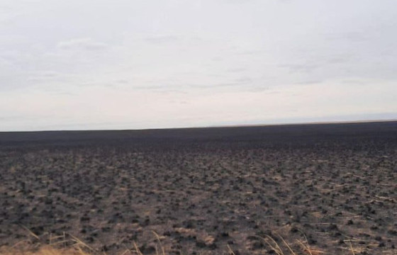 Эрдэнэцагаан суманд гарсан түймэрт 20 мянган га талбай шатжээ