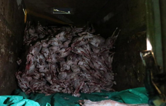 Мах, малын гаралтай түүхий эд, бүтээгдэхүүний чанар, аюулгүй байдалд шалгалт хийж байна