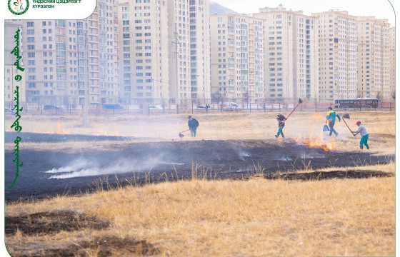 Шашны зан үйл хийж байхдаа Үндэсний цэцэрлэгт хүрээлэнд гал тавьжээ