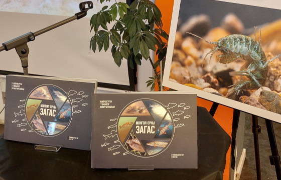 “МОНГОЛ ОРНЫ ЗАГАС” номд 79 зүйл загасны “амьдрал”-ыг багтаажээ 