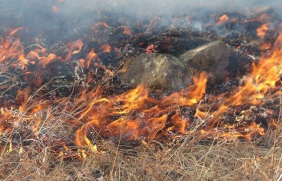 Ой, хээрийн түймрээс сэрэмжлүүлж байна