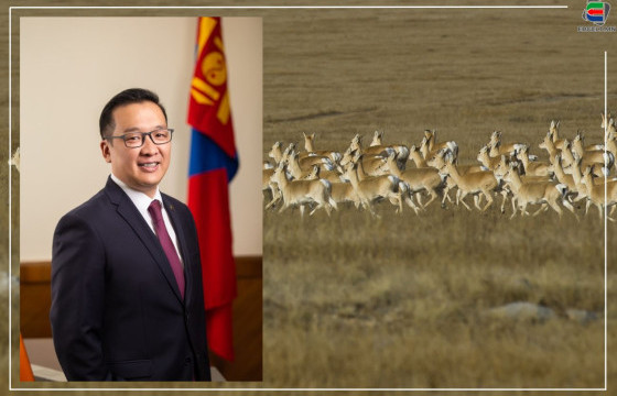 ТАВАН ЖИЛ ӨНГӨРЛӨӨ, Б.БАТ-ЭРДЭНЭ САЙД АА