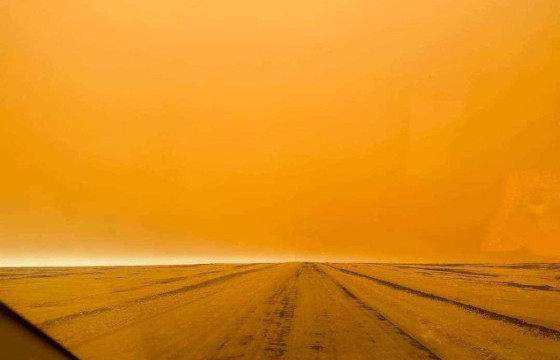 Шороон шуурганд төөрсөн есөн хүнийг олжээ 