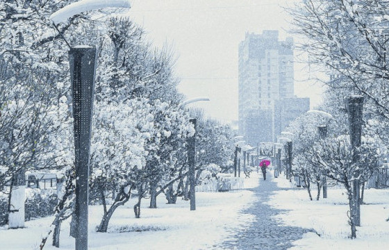 Ойрын өдрүүдэд ихэнх нутгаар сэрүүсэж, хур тунадас орно