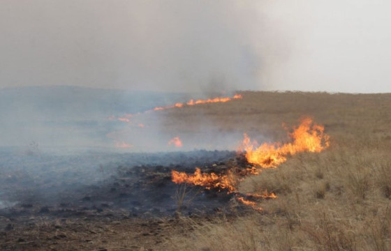 ОБЕГ: Хэнтий, Дорнод, Архангай аймагт 9102 га талбай шатжээ
