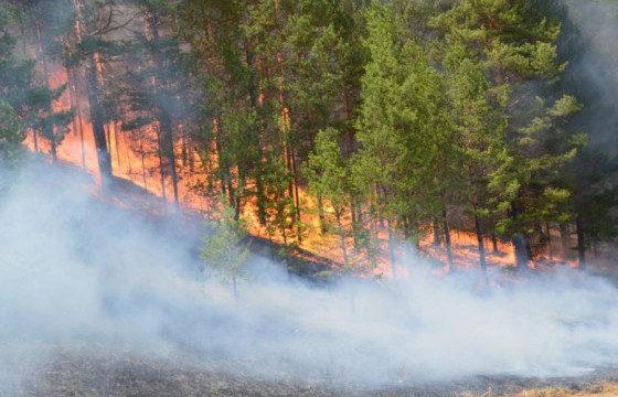 Дорнод аймагт гарсан гурван хээрийн түймрийг бүрэн унтраажээ