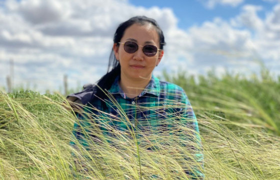 УРГАМАЛ СУДЛААЧ С.ОЮУНСУВД: ХОГИЙН УРГАМЛЫГ ҮНДСЭЭР НЬ ТАСДАЖ АВААД, ОРОНД НЬ БУТЛАГ УРГАМАЛ ТАРЬСНААР ХӨРС ЭРҮҮЛЖИЖ, ХҮМҮҮСИЙН ХАРШИЛ БАГАСАХ БОЛОМЖТОЙ