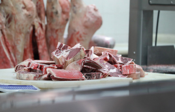 Нөөцийн махны өргөтгөсөн худалдаа зохион байгуулна