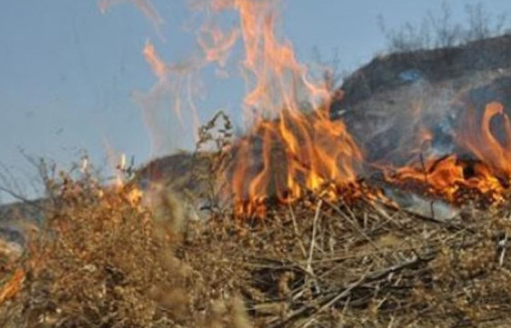 ОБЕГ: Ой, хээрийн түймрийн дуудлага 20.5 хувиар өссөн байна