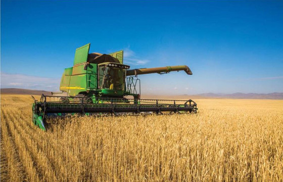 Ховд аймаг 3300 га талбайд тариалалт хийнэ