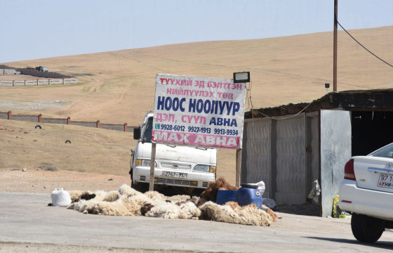 Үнэ ханш: Ноолуур килограмм нь 160-180 мянган төгрөгийн үнэтэй байна