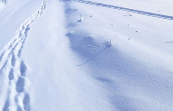 Увсын Зүүнхангай, Хөвсгөлийн Жаргалант, Дундговийн Говь-Угтаал, Архангайн Эрдэнэбулганд 8-10 см цастай байна