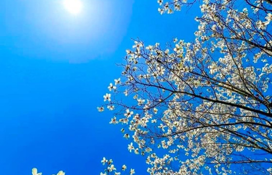 ТАНИЛЦ: ТАВДУГААР САРЫН ЦАГ АГААРЫН ТӨЛӨВ