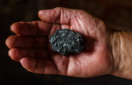 ТҮМНИЙ НЭР БАРЬСАН ТӨРИЙН ДЭЭРЭМ БУЮУ БАЯЛГИЙН САН