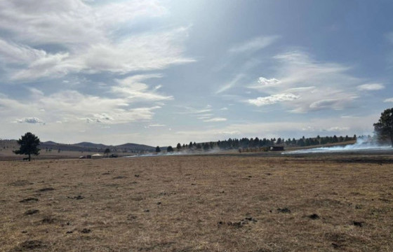 Түймэрт урьдчилсан байдлаар 1200 га талбай өртжээ