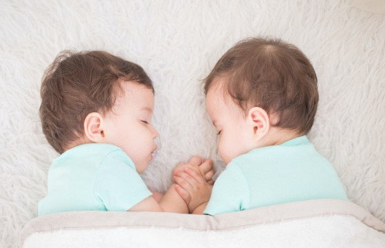 Ихрүүдийн талаарх сонирхолтой баримтууд