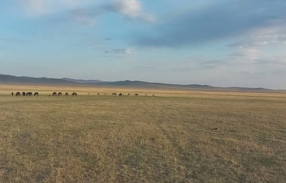 Дорнод, Дарьгангын талд нойтон цас орох бол говийн нутагт 25-30 хэм хүрч хална