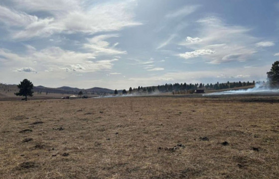 Ой, хээрийн гал түймрийн дуудлага 3.8 хувиар өсжээ