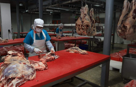 “Хүнсний хувьсгал”-ын хүрээнд 2023 онд мал төхөөрөх, мах боловсруулах дөрвөн үйлдвэр ашиглалтад оржээ