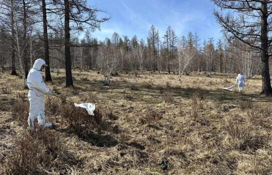 Ойн улаан хачгийн тархалтын шинэ цэг илрүүллээ