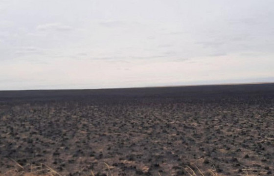 Сүхбаатар аймгийн Эрдэнэцагаан суманд гарсан хээрийн түймрийг бүрэн унтраалаа