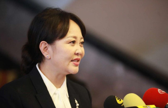 Р.БУЛГАМАА: Фракцуудын төлөөлөл жагсаалтаар орж ирэх боломжтой юм шиг байна. Үндэсний бодлогын хорооны гишүүдэд итгэл алдарч байна