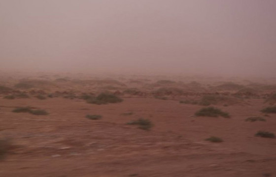 Ихэнх нутгаар бороо орж, салхи, шуургатай байна