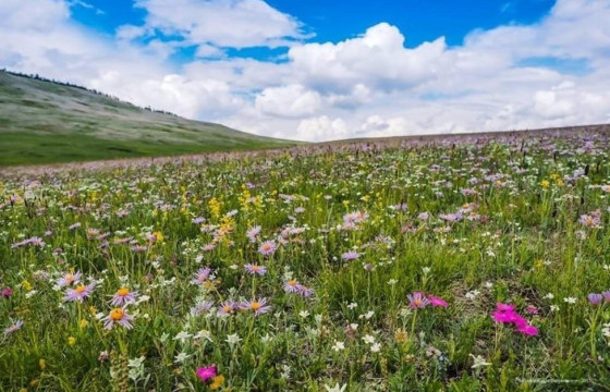 ҮНДЭСТЭЙ БҮХЭН УРГАСАН САЙХАН ЗУН БОЛЖ БАЙНА