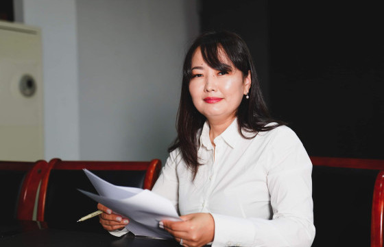 Д.ХИШГЭЭ: Төрд өмч байх л юм бол тэнд хулгай, дээрэм тасардаггүй