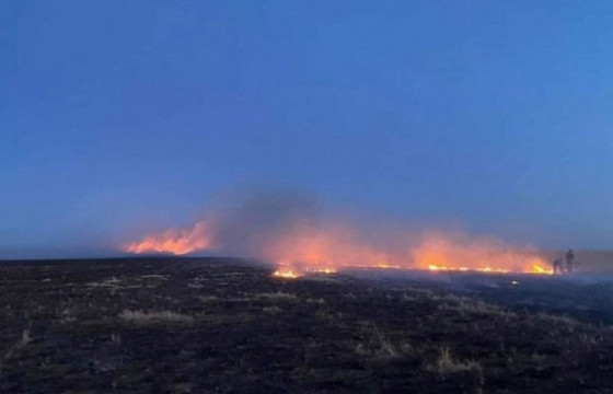Ой, хээрийн гал түймрийн дуудлага, мэдээлэл өнгөрсөн оны мөн үеийнхээс 7.2 хувиар өссөн байна