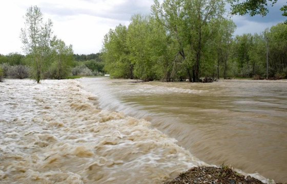 Голууд үерийн түвшинг 5-30 см даван үерлэж байна