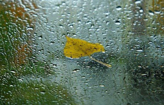 Цаг агаарын 10 хоногийн урьдчилсан төлөв