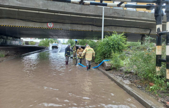 Борооны улмаас өнөөдөр 60 дуудлага бүртгэгджээ