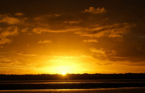 Маргааш нар буцна 