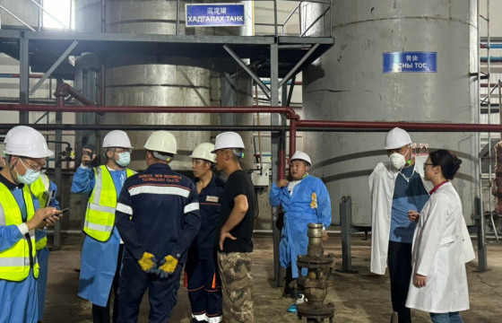 БНХАУ-д угаасан ноос ноолуур, малын өөх тос, уураг экспортолж байна